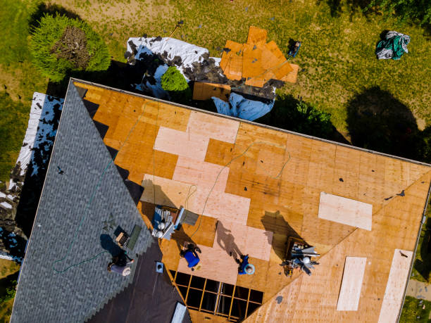 Best Storm Damage Roof Repair  in Denison, TX