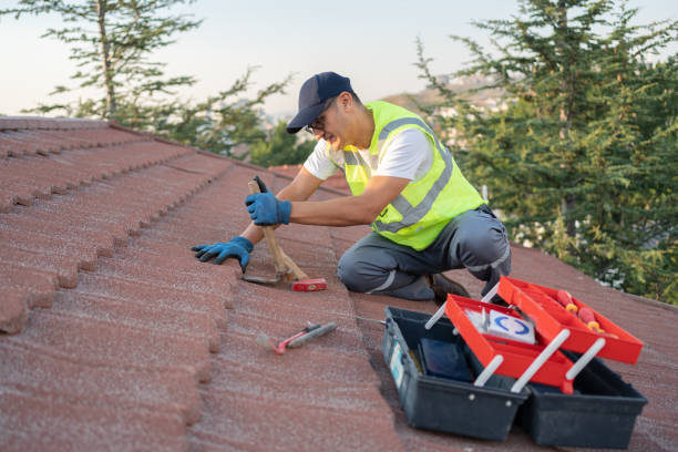 Best Roof Maintenance Services  in Denison, TX